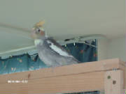 hpim0668.jpg